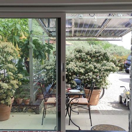 La Casa Negli Ulivi Διαμέρισμα Chiavari Εξωτερικό φωτογραφία