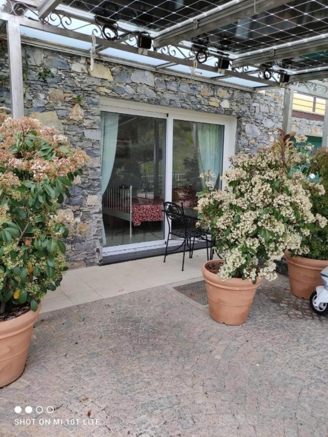 La Casa Negli Ulivi Διαμέρισμα Chiavari Εξωτερικό φωτογραφία